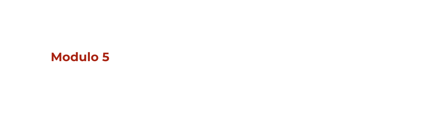 Modulo 5