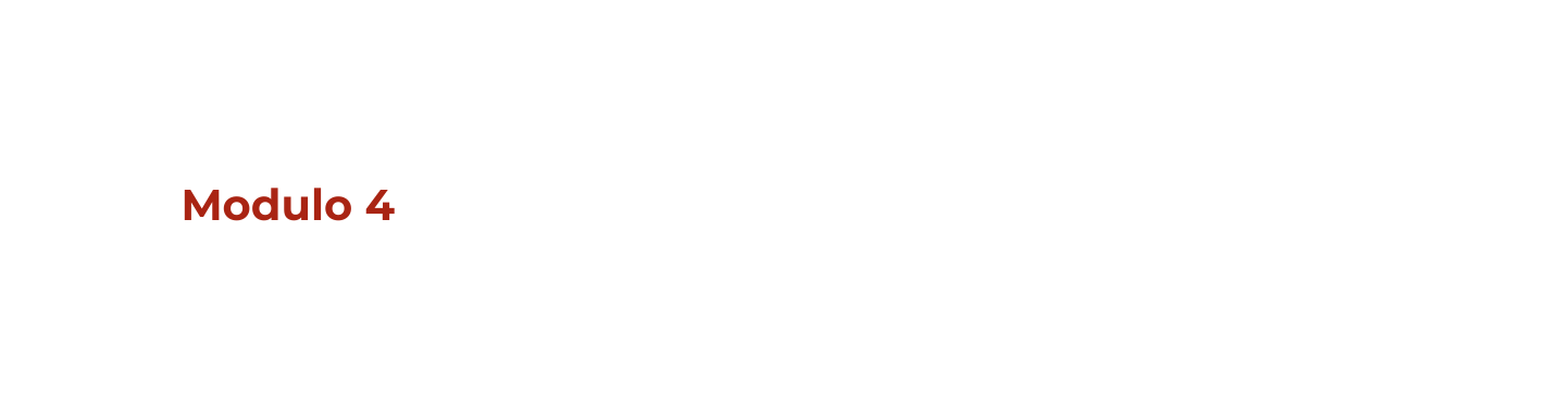 Modulo 4