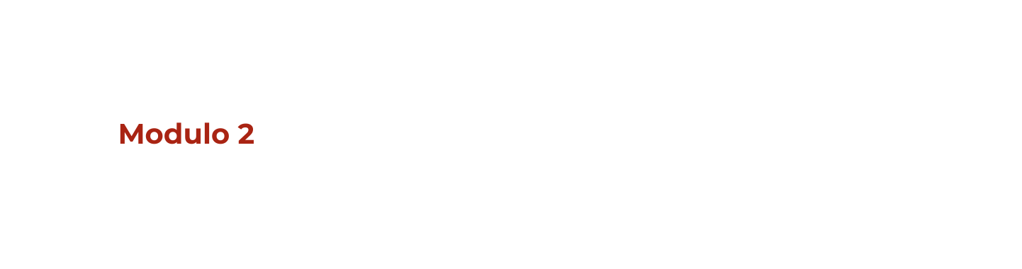 Modulo 2