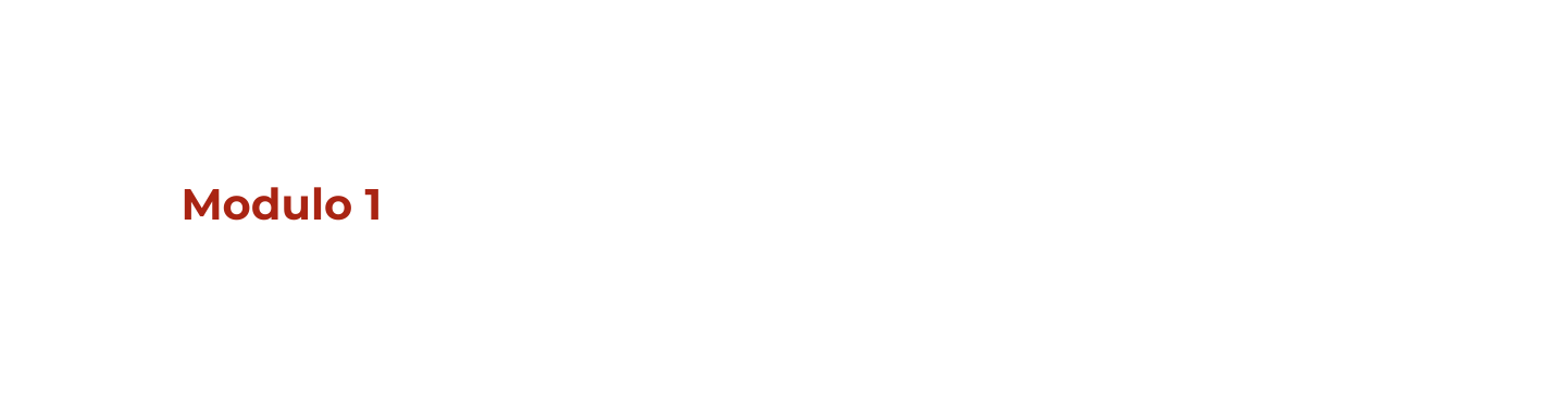 Modulo 1