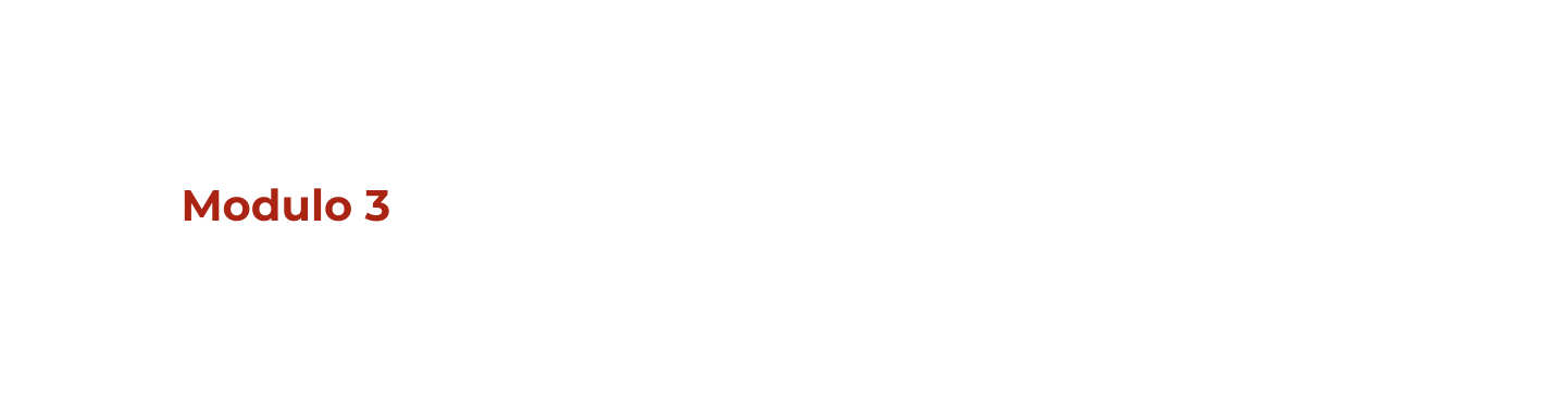Modulo 3